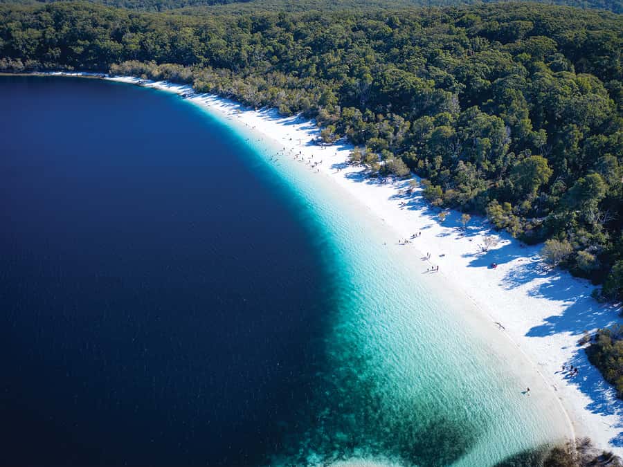 From Hervey Bay: K'gari, Fraser Island Two-Day Coach Tour - Key points to know before booking