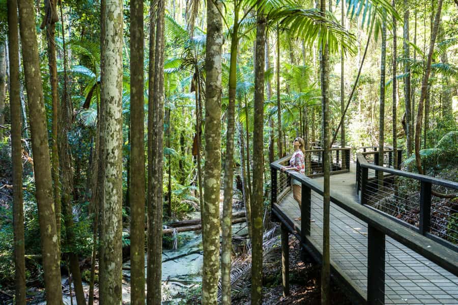 From Hervey Bay: K'gari, Fraser Island Two-Day Coach Tour - Starting in Hervey Bay and crossing to K’gari