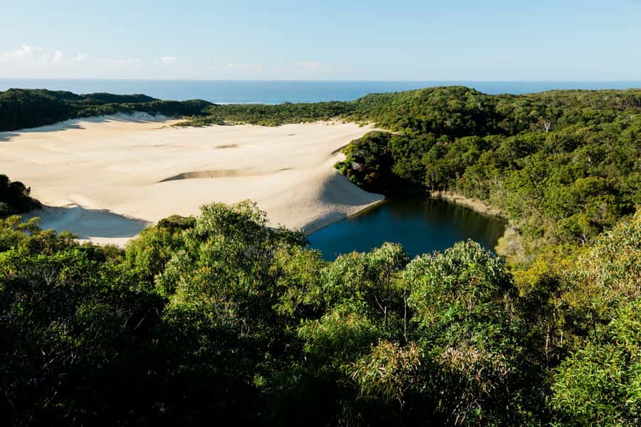 From Hervey Bay: K'gari, Fraser Island Two-Day Coach Tour - Lake McKenzie delivers the classic K’gari moment