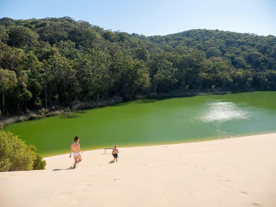 From Hervey Bay: K'gari, Fraser Island Two-Day Coach Tour - Central Station and Pile Valley show the island’s softer side