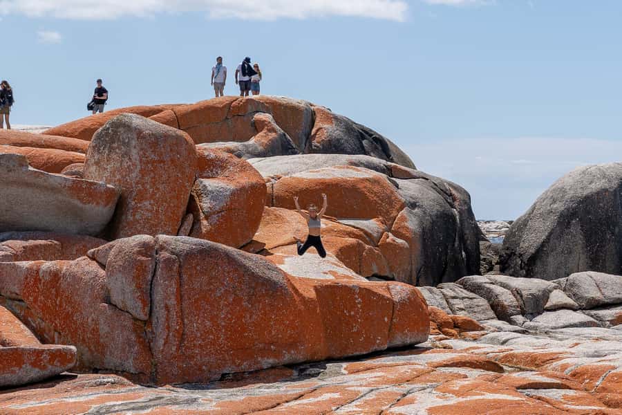 From Hobart: 5-Day Tasmania West & East Coast Tour - Day 2: Henty Dunes and the rainforests of the west