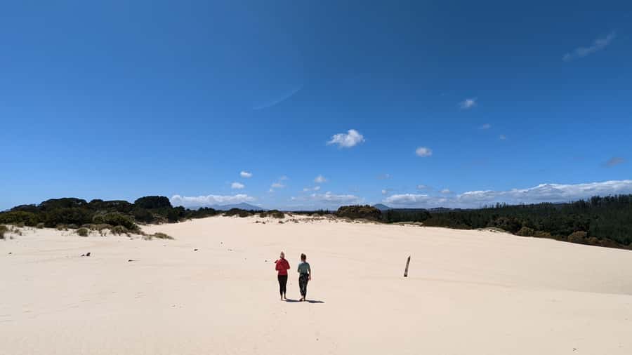 From Hobart: 5-Day Tasmania West & East Coast Tour - What the $683 price really includes