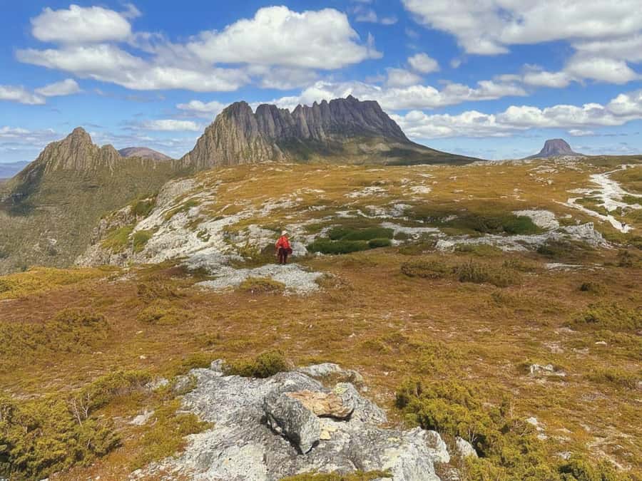 From Hobart: Active Day Trip to Cradle Mountain - Choosing between Marion’s Lookout and Dove Lake