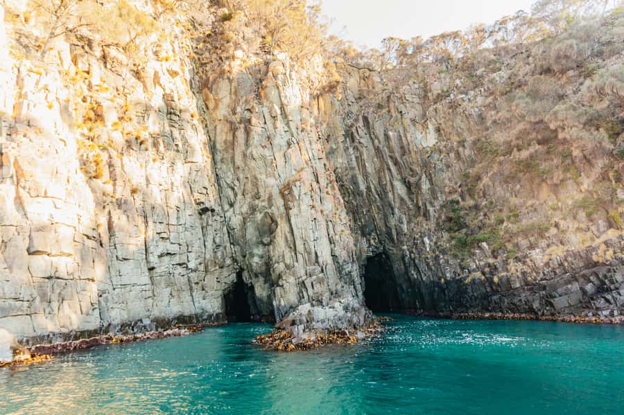 From Hobart/Adventure Bay: Bruny Island Wilderness Cruise - Why this Bruny Island cruise is different