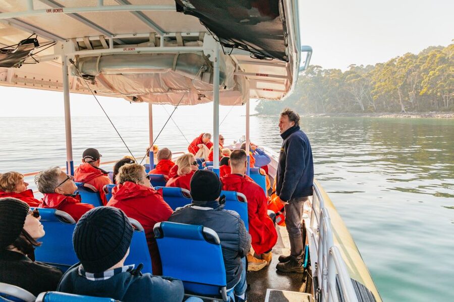 From Hobart/Adventure Bay: Bruny Island Wilderness Cruise - The Friars and the wildlife search