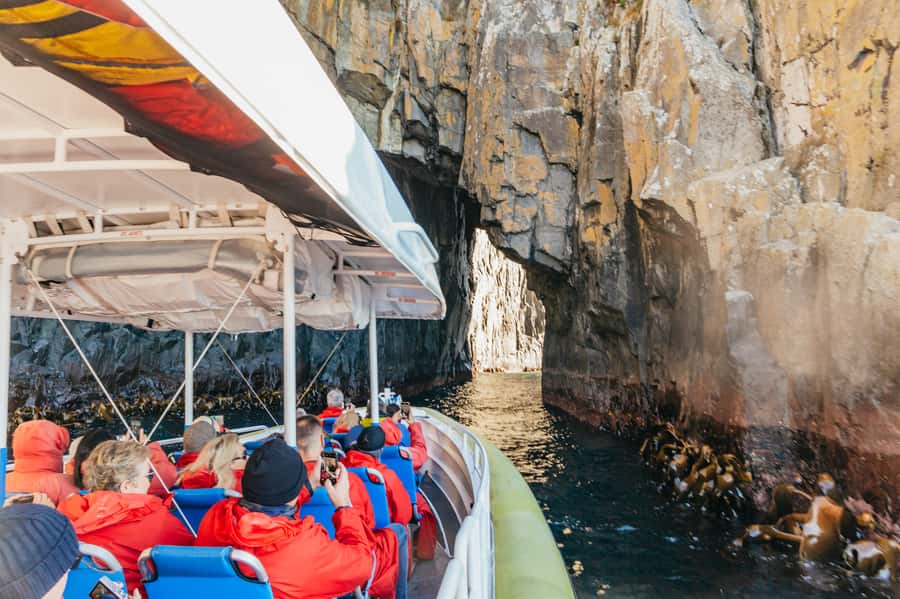 From Hobart/Adventure Bay: Bruny Island Wilderness Cruise - Getting from Hobart to Adventure Bay