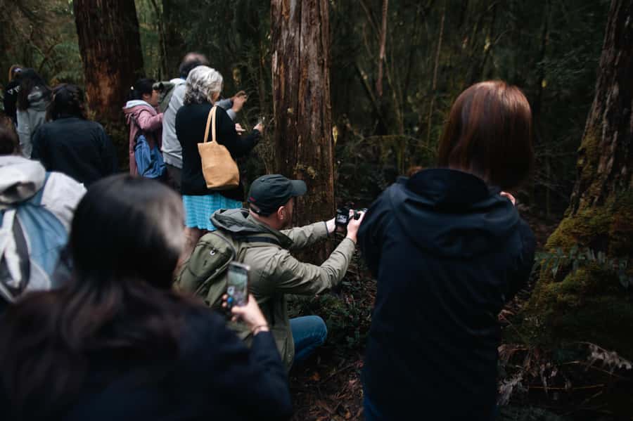 From Hobart: Full-Day Bruny Island Tour with Guide - Key points at a glance