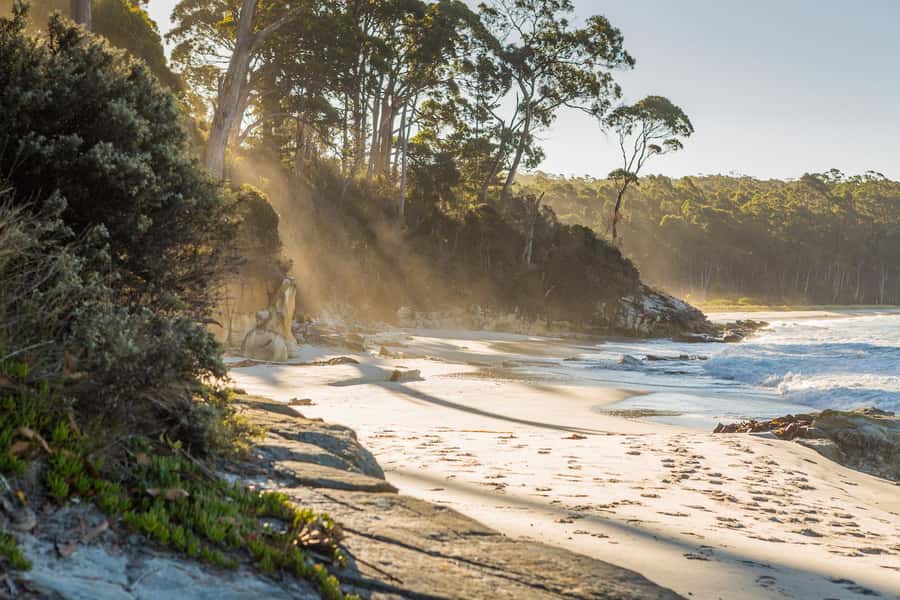 From Hobart: Full-Day Bruny Island Tour with Guide - Why Bruny Island works as a day trip from Hobart
