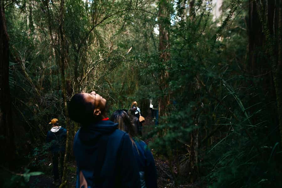 From Hobart: Full-Day Bruny Island Tour with Guide - Forest paths, beaches, and the active morning