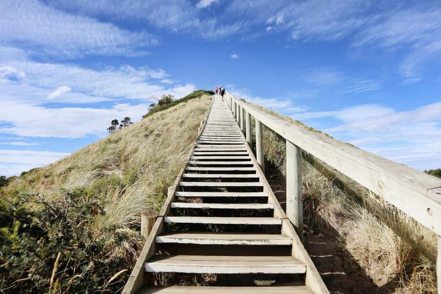 From Hobart: Full-Day Bruny Island Tour with Guide - Honey, chocolate, oysters, and local drinks
