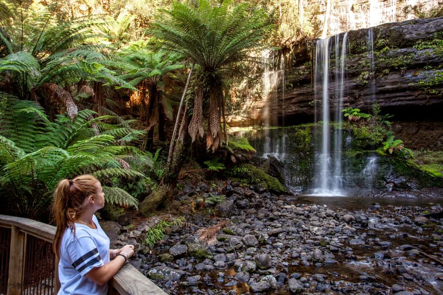From Hobart: Mt. Field, Mt. Wellington and Wildlife Day Tour - The final climb to kunanyi/Mount Wellington
