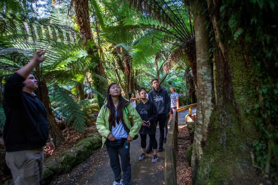 From Hobart: Mt. Field, Mt. Wellington and Wildlife Day Tour - The morning drive from Hobart