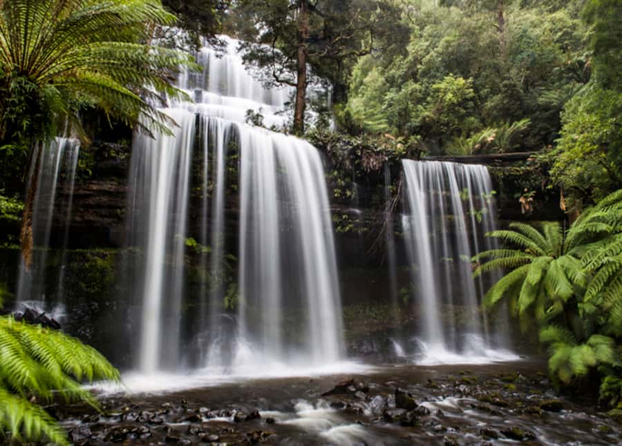 From Hobart: Mt. Field National Park and Russell Falls - New Norfolk: A Brief Look at Rural Tasmania