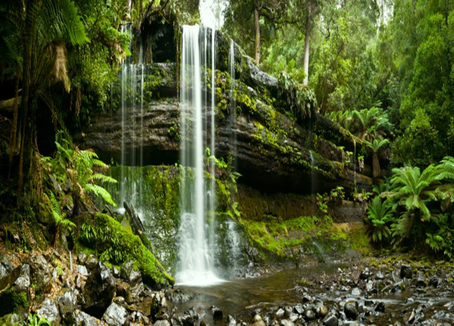 From Hobart: Mt. Field National Park and Russell Falls - Russell Falls: The Day’s Best Payoff