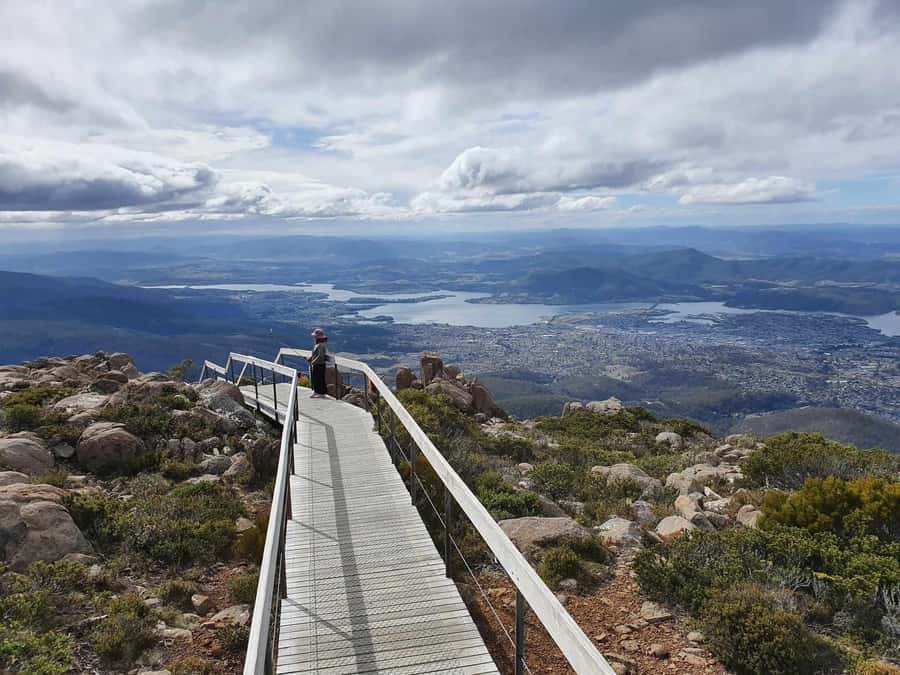 From Hobart: Mt Wellington Pinnacle 2 Hour Small Group Tour - The Chalet, snow gums, and mountain details