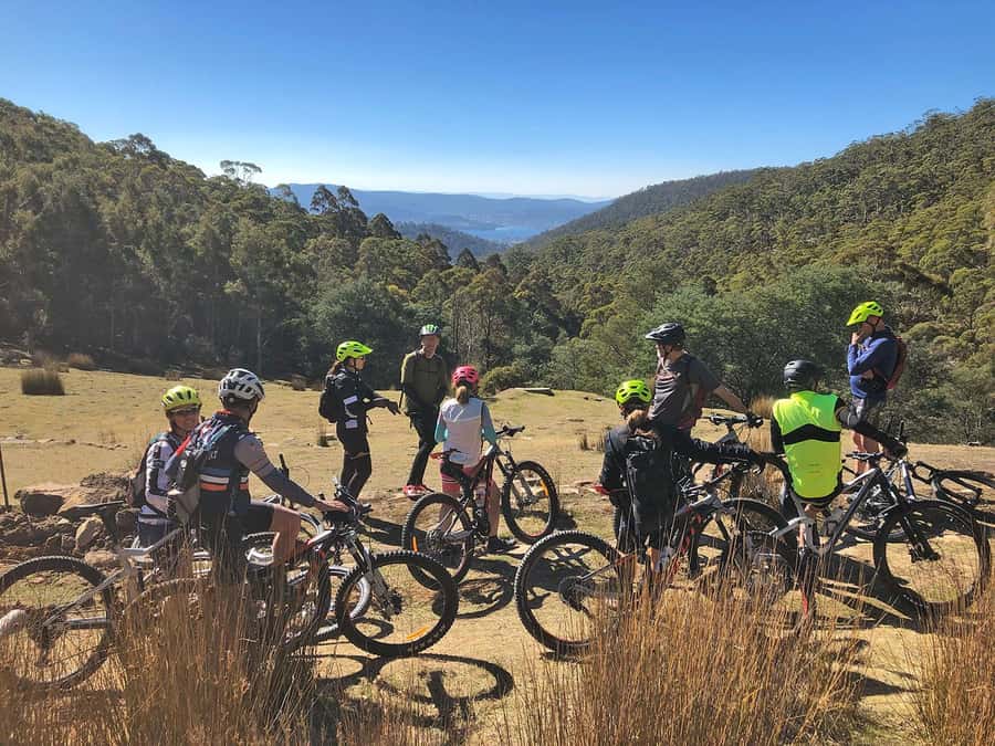 From Hobart: Mt Wellington Summit & Rainforest Bike Tour - Key points to know before you book