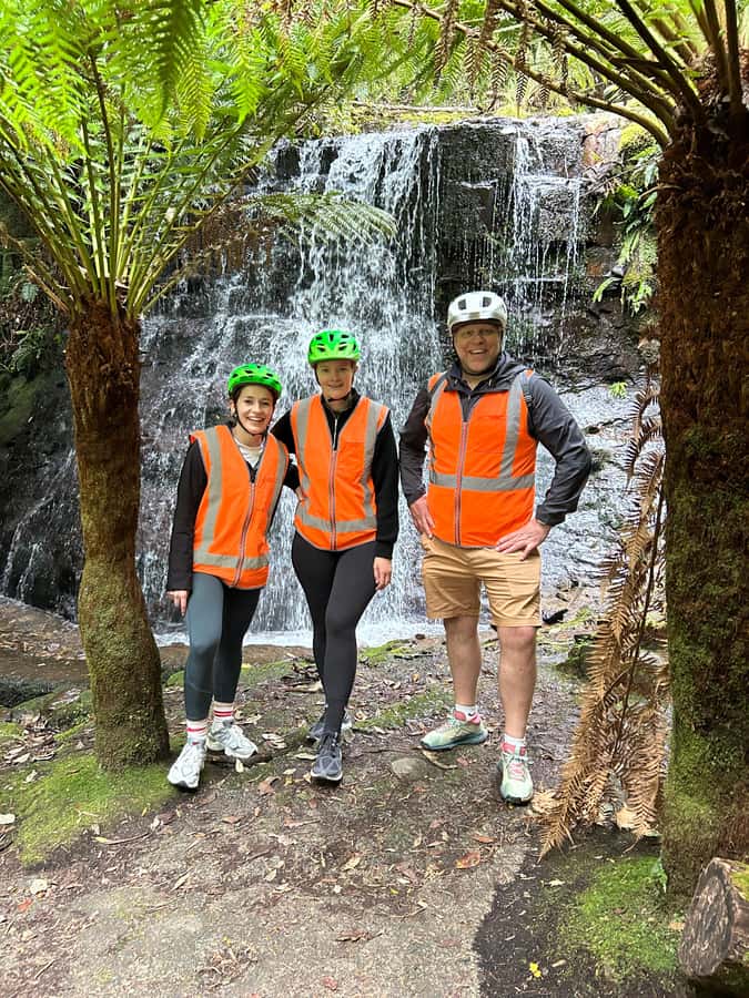 From Hobart: Mt Wellington Summit & Rainforest Bike Tour - Why this four-hour ride works so well in Hobart