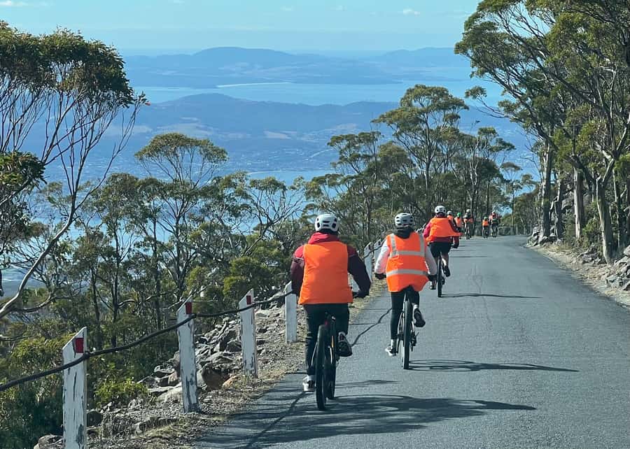From Hobart: Mt Wellington Summit & Rainforest Bike Tour - The 6-kilometer summit descent