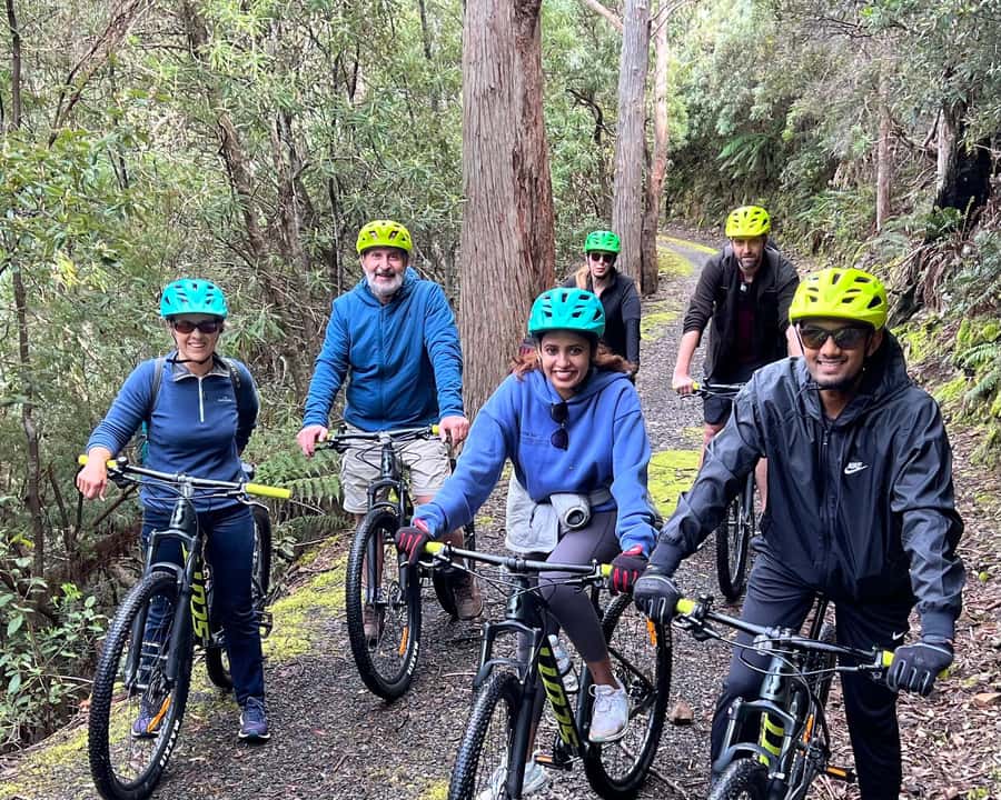 From Hobart: Mt Wellington Summit & Rainforest Bike Tour - Weather is the one serious variable