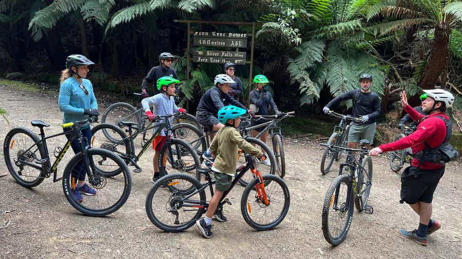 From Hobart: Mt Wellington Summit & Rainforest Bike Tour - What the $119 price delivers