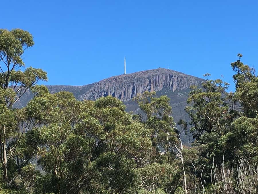 From Hobart: Mt Wellington Summit & Rainforest Bike Tour - Practical tips for a smoother ride