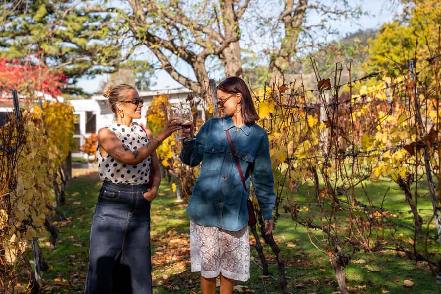 From Hobart: Tasmanian Wine Tour - Four cellar doors, with the route changing by season