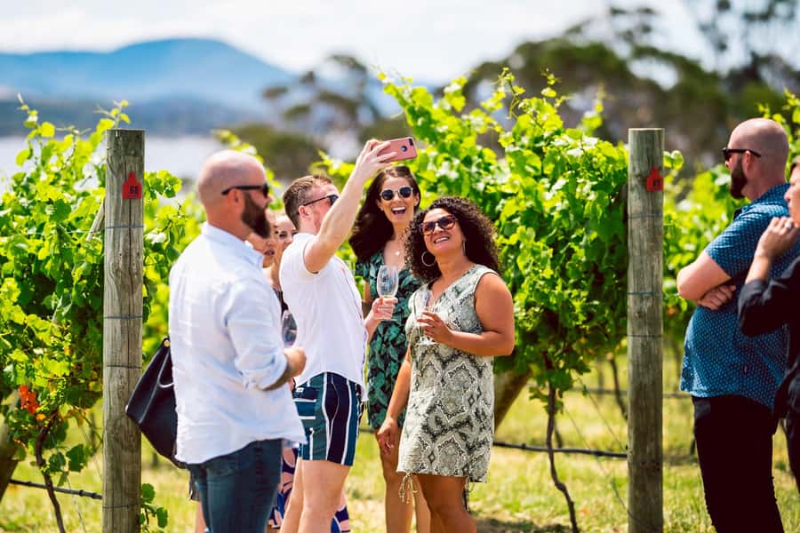 From Hobart: Tasmanian Wine Tour - Meeting at Brooke Street Pier