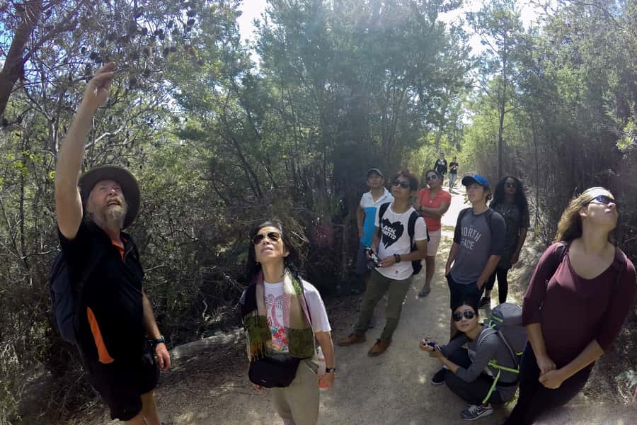From Launceston: Full-Day Wineglass Bay Explorer Active Tour - Cape Tourville Lighthouse Walk: the easier scenic option