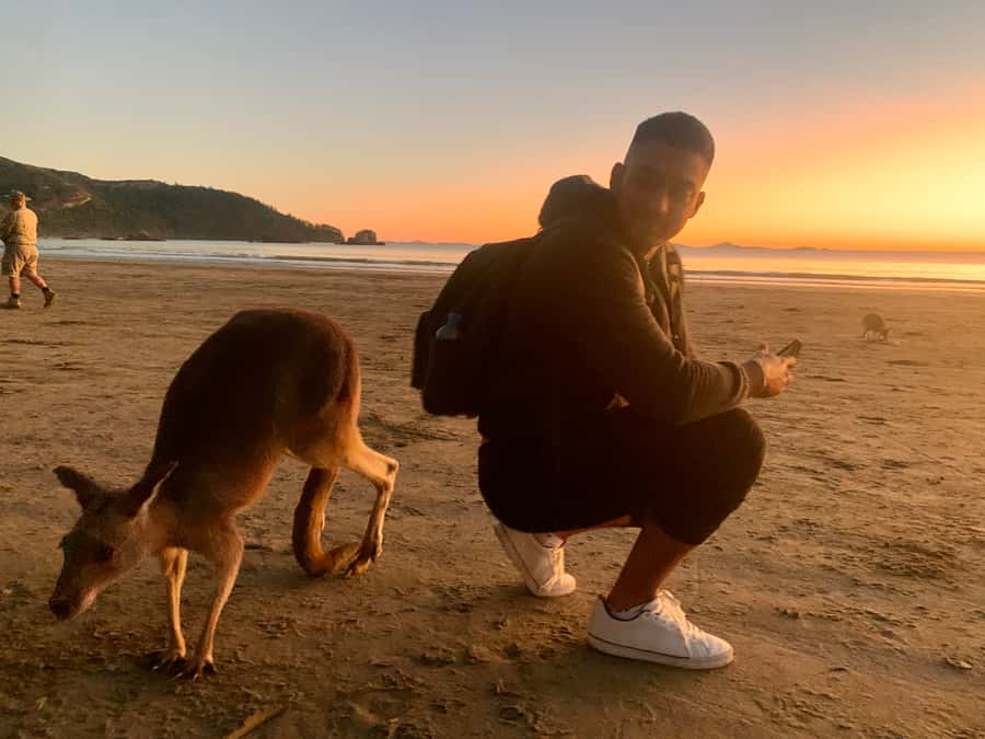 From Mackay: Wallabies on the Beach Sunrise Trip - Key points at a glance