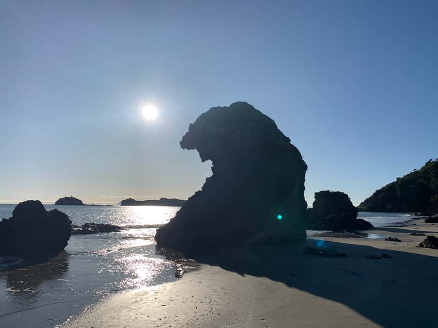From Mackay: Wallabies on the Beach Sunrise Trip - What the $91 price really covers
