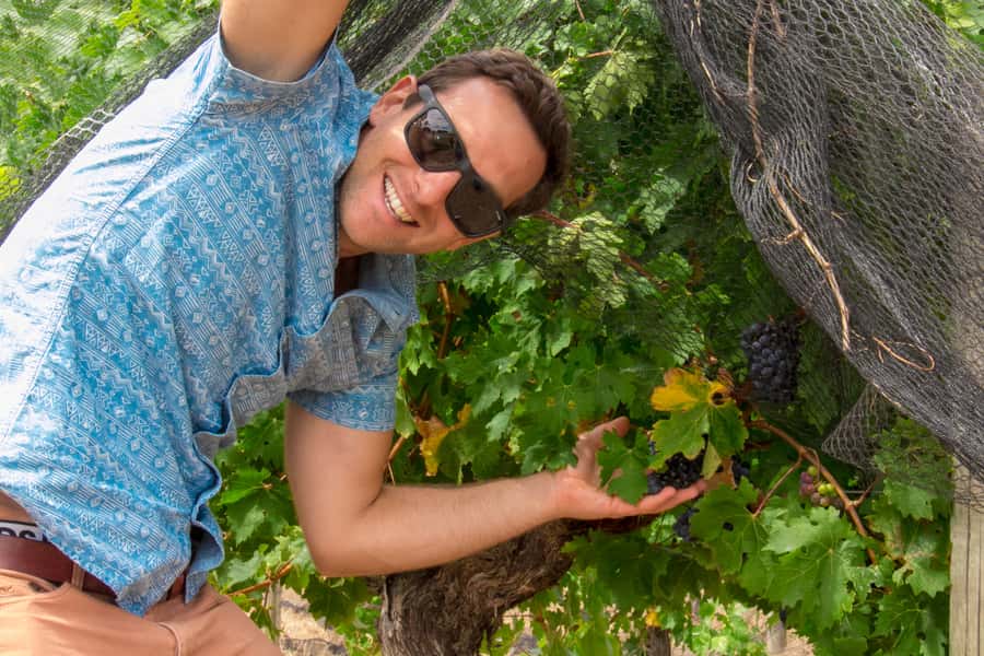 From Margaret River: Margaret River Wine Adventure - The wine blending activity is fun, but keep expectations sensible