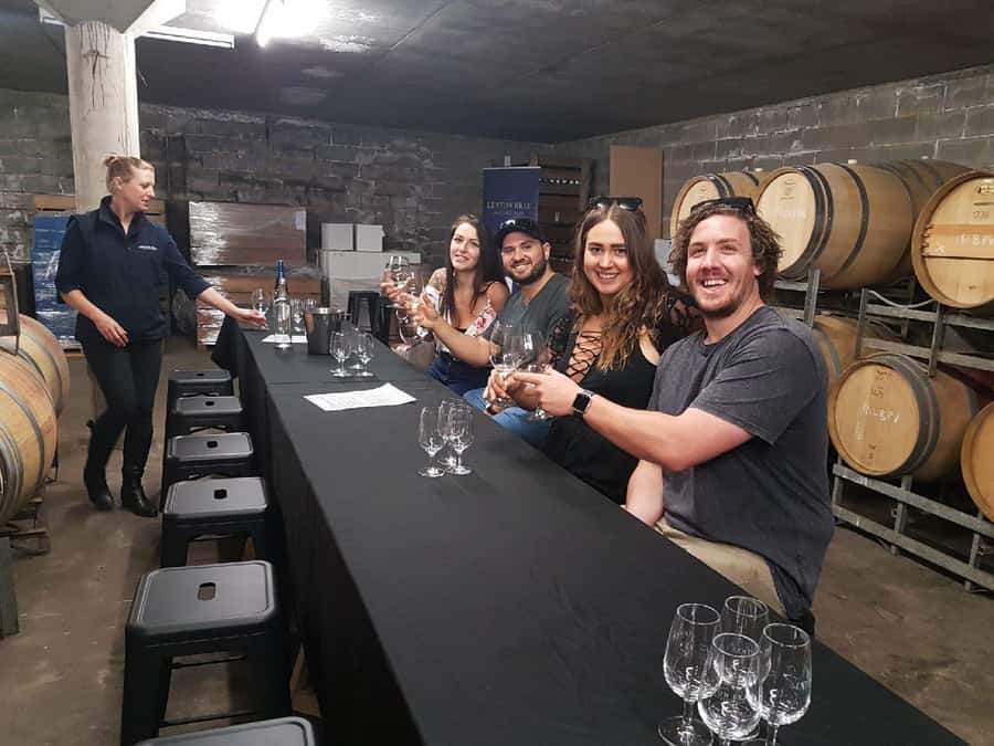 From Margaret River: Margaret River Wine Adventure - The guides make or break a social tour