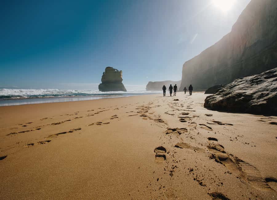 From Melbourne: 2-Day Great Ocean Road & Grampians Escape - Walking through the Otway rainforest