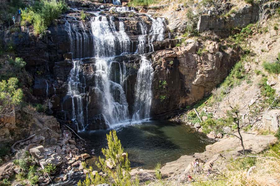 From Melbourne: 2-Day Great Ocean Road & Grampians Escape - Sunrise wildlife around Halls Gap