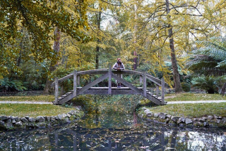 From Melbourne: Dandenong Ranges Private Day Tour - Practical details before you reserve