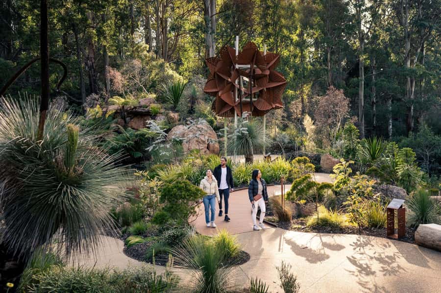From Melbourne: Dandenong Ranges Private Day Tour - Alfred Nicholas Gardens and its Japanese-style lake
