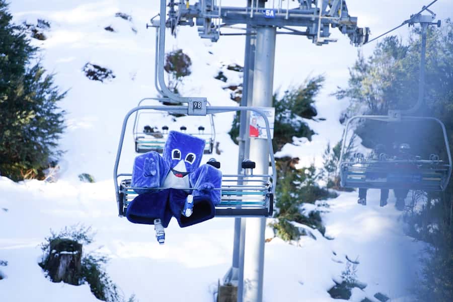 From Melbourne: Day Trip to Mt Buller by Premium Tour Coach - Key points at a glance