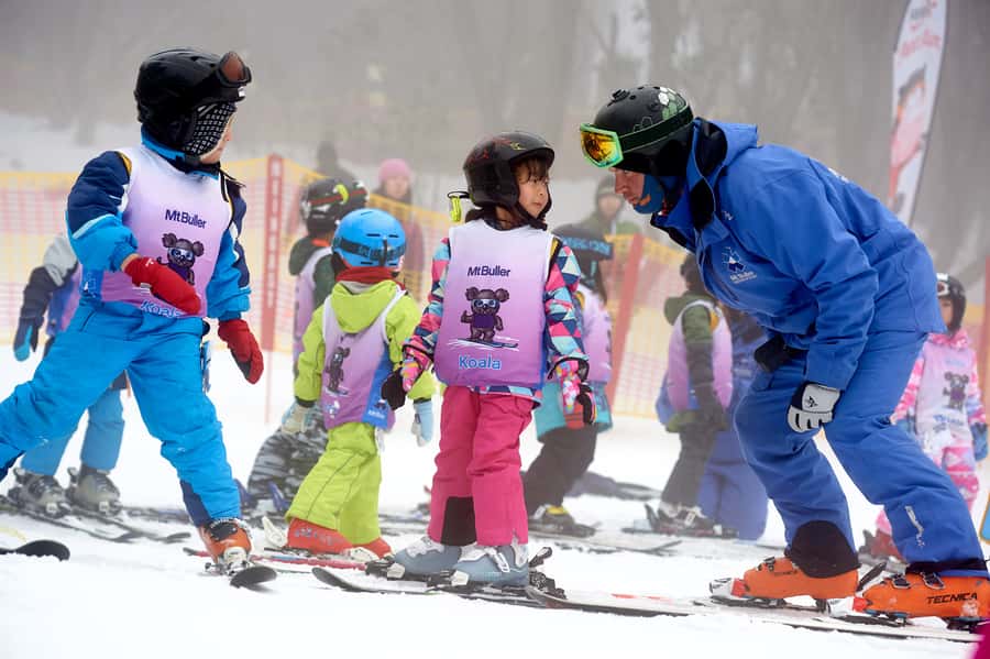 From Melbourne: Day Trip to Mt Buller by Premium Tour Coach - The long ride up to Mt Buller
