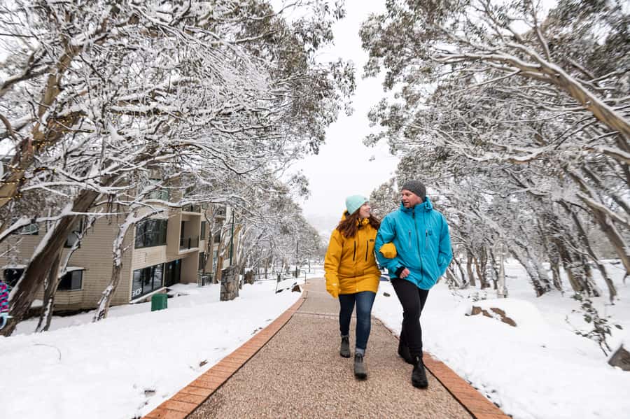 From Melbourne: Day Trip to Mt Buller by Premium Tour Coach - What the service does well