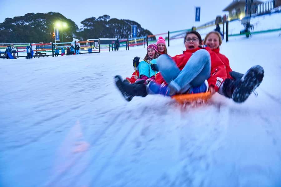 From Melbourne: Day Trip to Mt Buller by Premium Tour Coach - Starting at Southern Cross Station