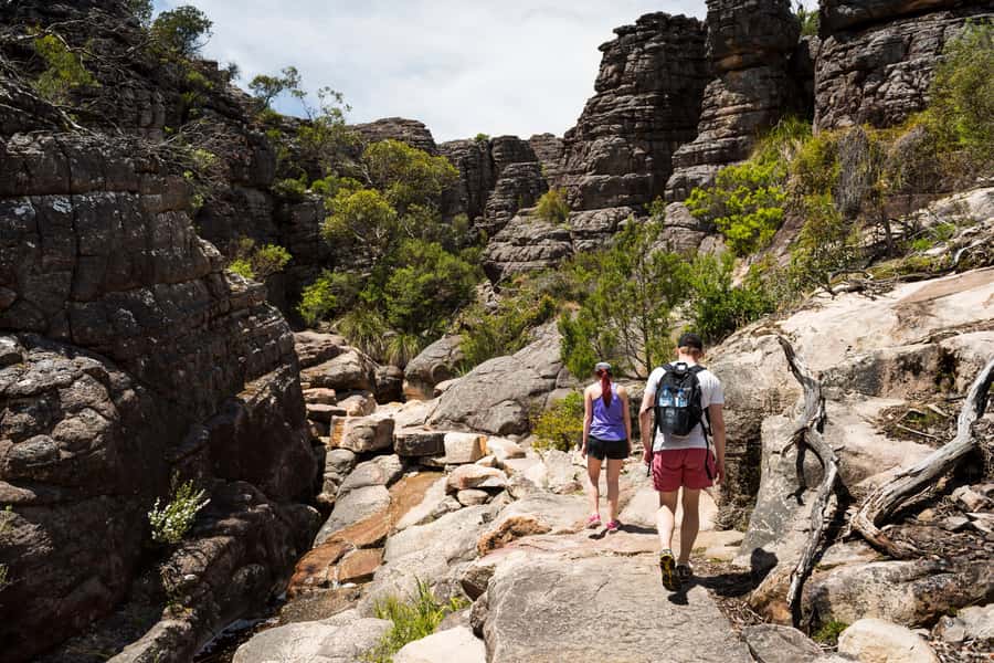 From Melbourne Grampians National Park Kangaroos Guided Tour - The key points before you book