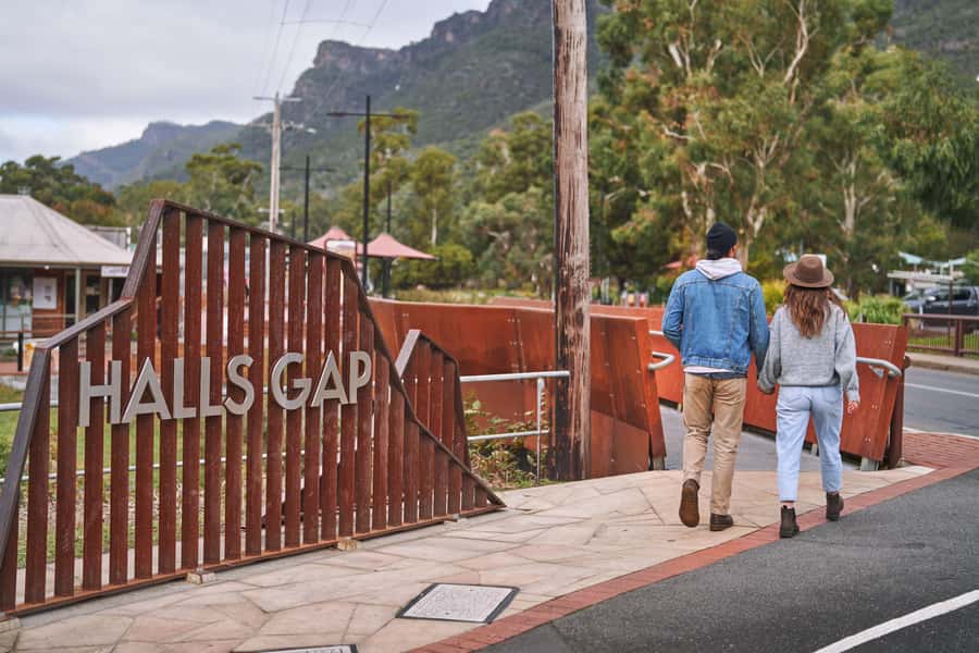 From Melbourne: Grampians National Park Small Group Tour - A final wildlife stop and the ride home