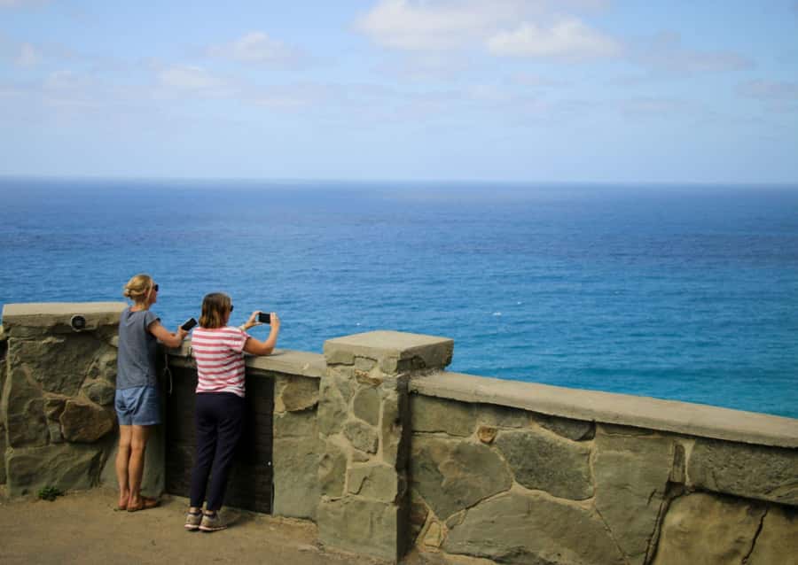 From Melbourne: Great Ocean Road & 12 Apostles Full-Day Tour - Melba Gully turns the road trip into a short bush walk