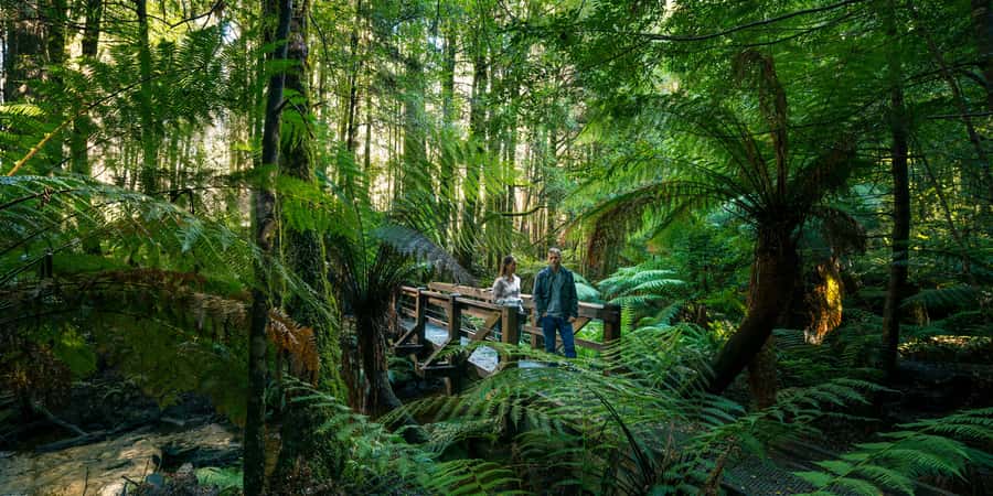 From Melbourne: Great Ocean Road & 12 Apostles Full-Day Tour - The inland return through Colac