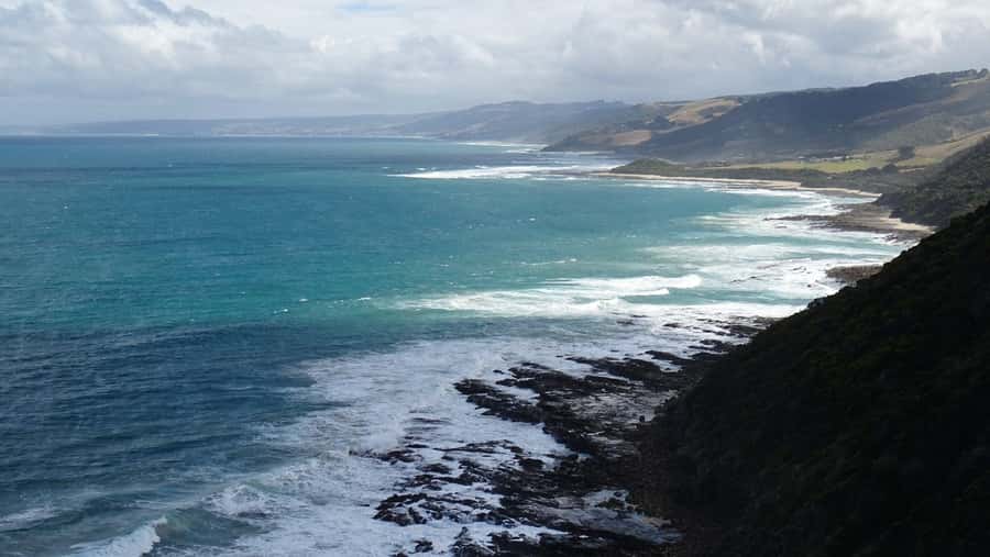 From Melbourne: Great Ocean Road, 12 Apostles, Wildlife Tour - A rainforest walk among very tall trees