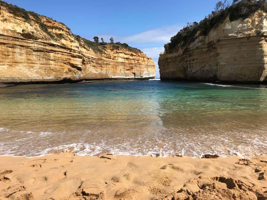 From Melbourne: Great Ocean Road Boutique Tour in Reverse - Great Otway National Park and Maits Rest Rainforest
