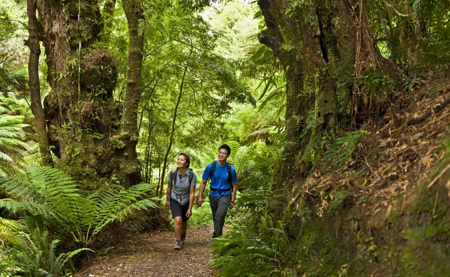 From Melbourne: Great Ocean Road Full-Day Guided Trip - The Twelve Apostles and Gibson Steps