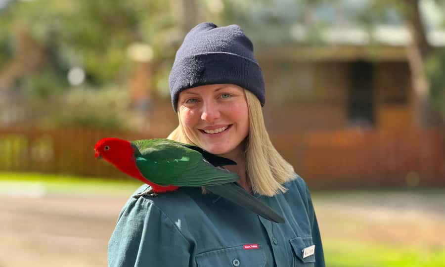 From Melbourne: Great Ocean Road Full-Day Sunset Tour - Guides, transport, and group comfort