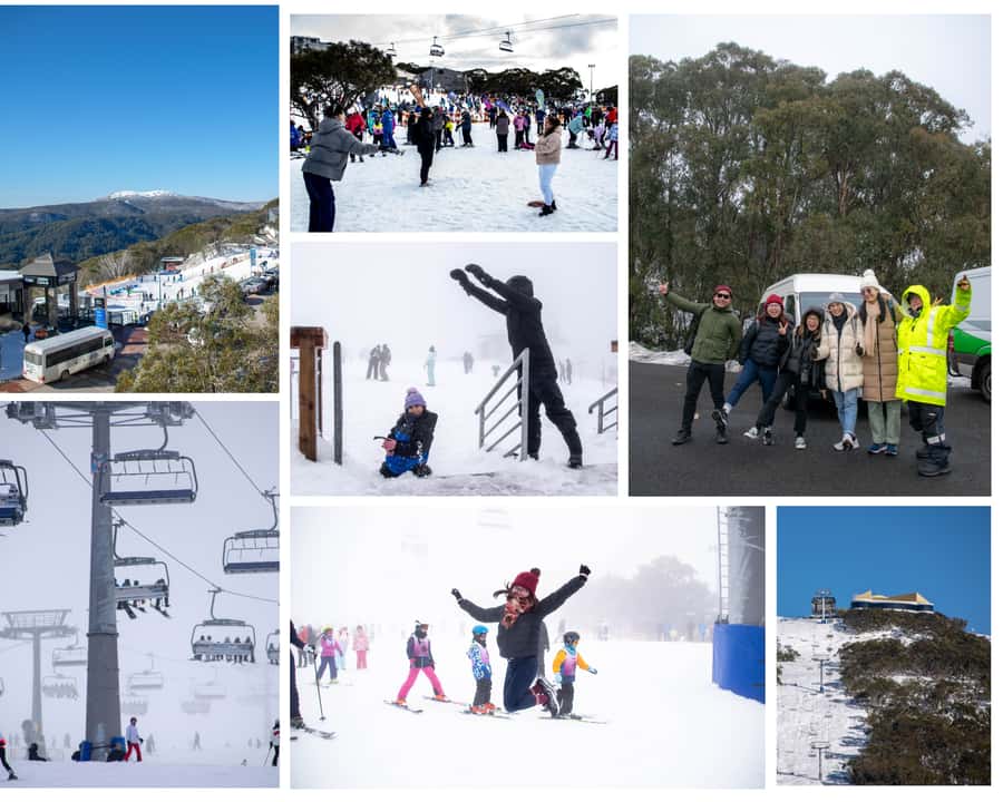 From Melbourne: Mount Buller Guided Day Tour - Key things to know before you book