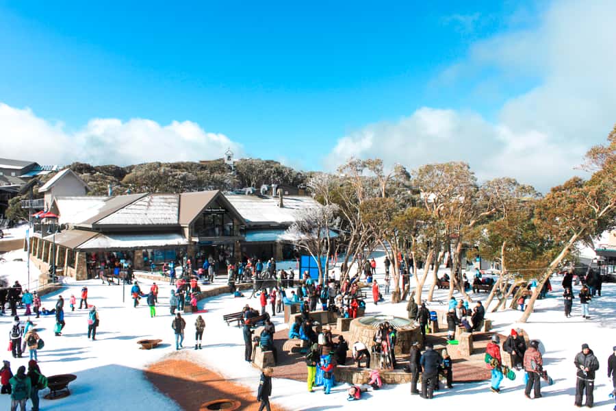 From Melbourne: Mount Buller Guided Day Tour - Why Mount Buller makes a good day from Melbourne